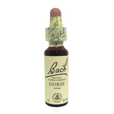 FLORAL GORSE 10ML.