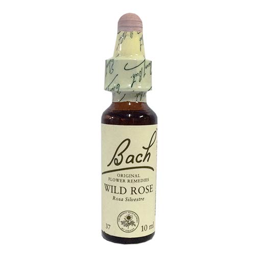FLORAL DE BACH WILD ROSE 10ML.