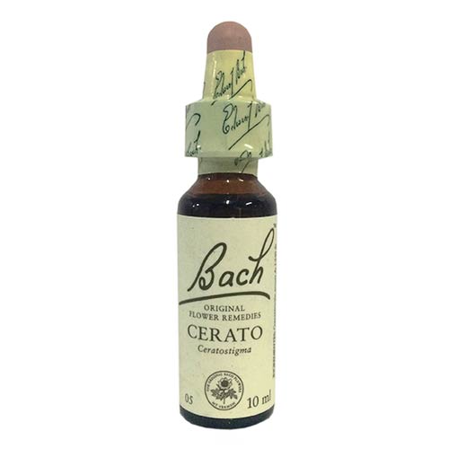 FLORAL CERATO 10ML.